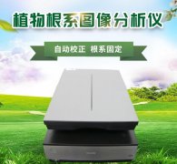  植物根系分析系統促進植物成長